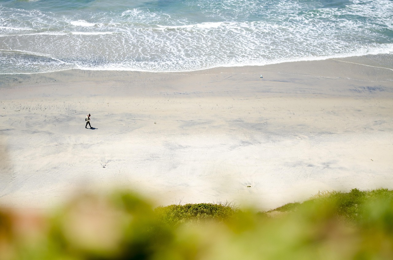 IUI Cost San Diego: What’s Included?