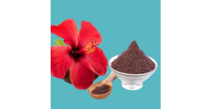Understanding Testing Protocols for Herbal Powder Exports