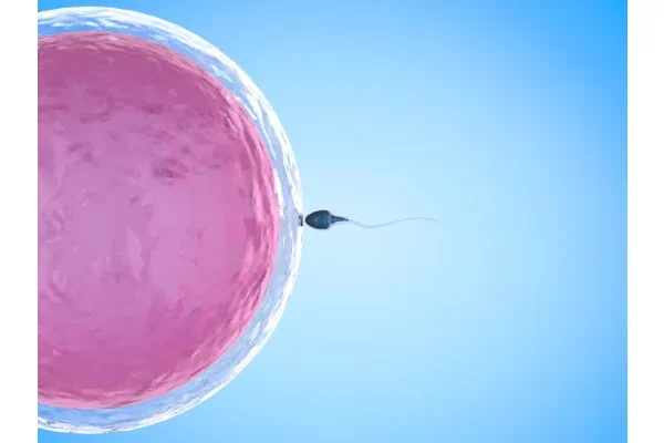 How to Maximize Your IVF Chances in San Diego?